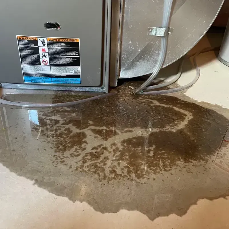 Appliance Leak Cleanup in Denver, PA